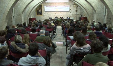 Vedo Viterbo
