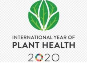 International year of Planth health 2020