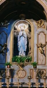 Immacolata Concezione, pH laura ciulli