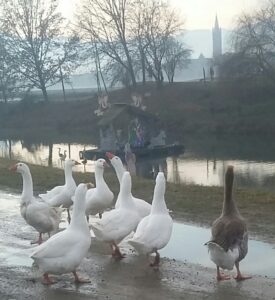 Presepe sul Po