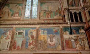 San Francesco d'Assisi, pH laura ciulli
