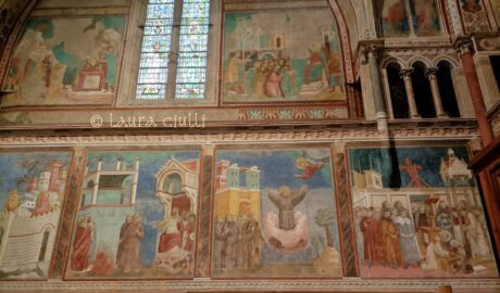 San Francesco d'Assisi, pH laura ciulli