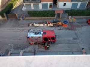 Servizio, vigili del fuoco, pH laura ciulli