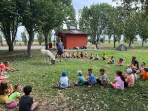 Quara, Ezio, via Francigena 