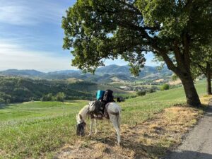 Quara, via Francigena