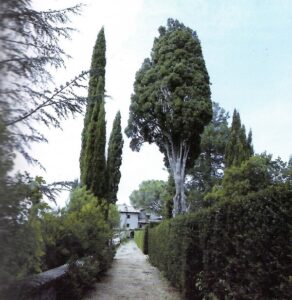 Tommasa Alfieri 