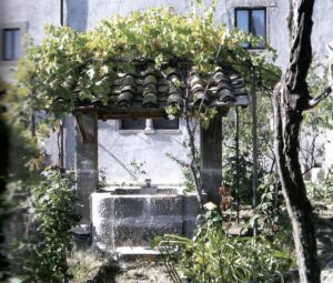 Tommasa Alfieri 